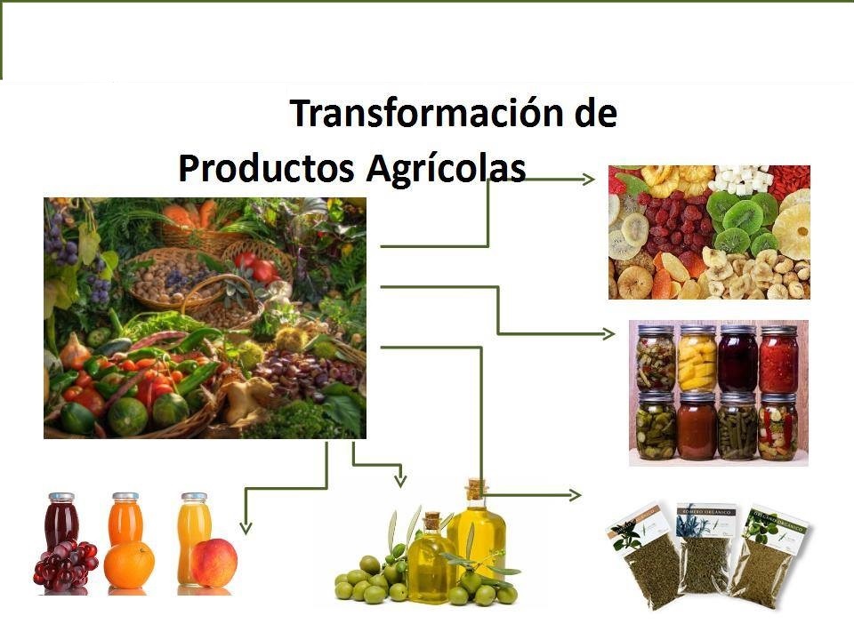 Taller de transformación de productos agrícolas