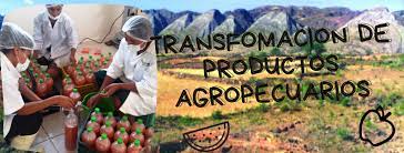 Taller de Transformación de Productos Agrícolas