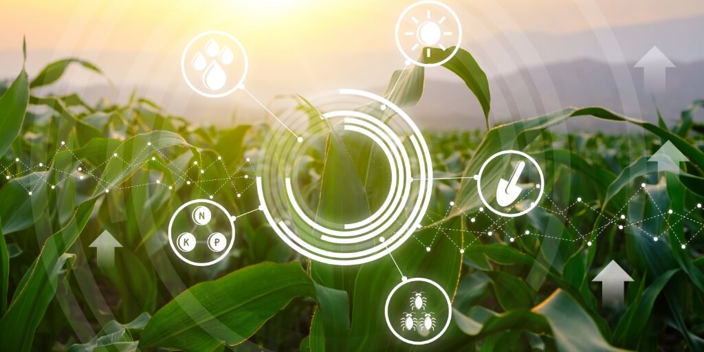 Sistemas de Producción de alimentos