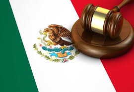 Derecho Constitucional II